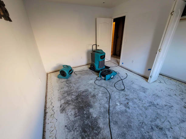  Angola On The Lake, NY Water damage restoration Pros