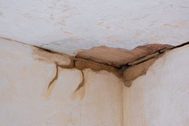 Best Emergency water damage restoration  in Angola On The Lake, NY