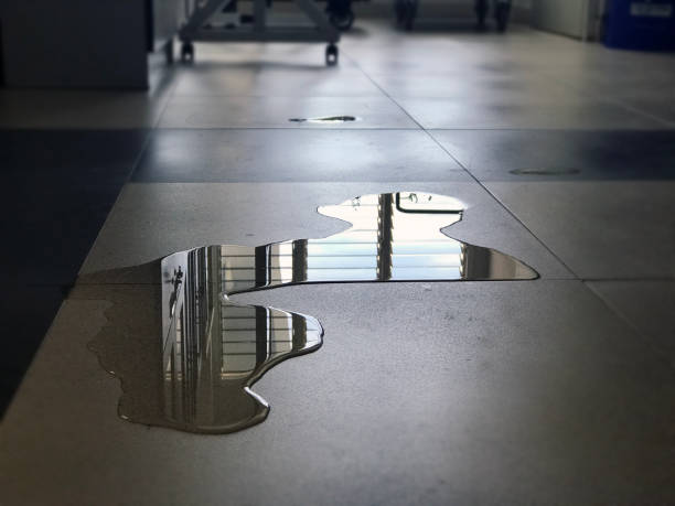 Best Local water damage restoration  in Angola On The Lake, NY