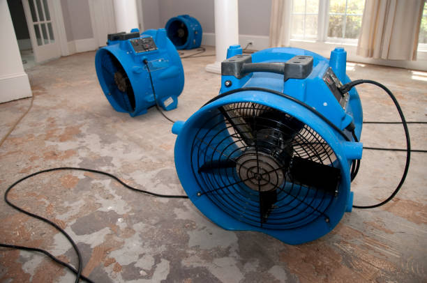  Angola On The Lake, NY Water damage restoration Pros