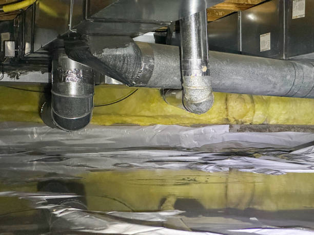 Best Water damage restoration near me  in Angola On The Lake, NY