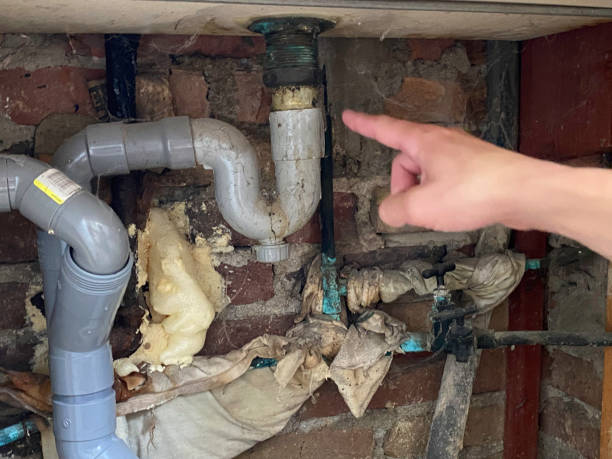 Best Mold removal after water damage  in Angola On The Lake, NY