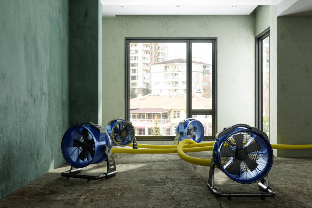 Best Basement water damage restoration  in Angola On The Lake, NY